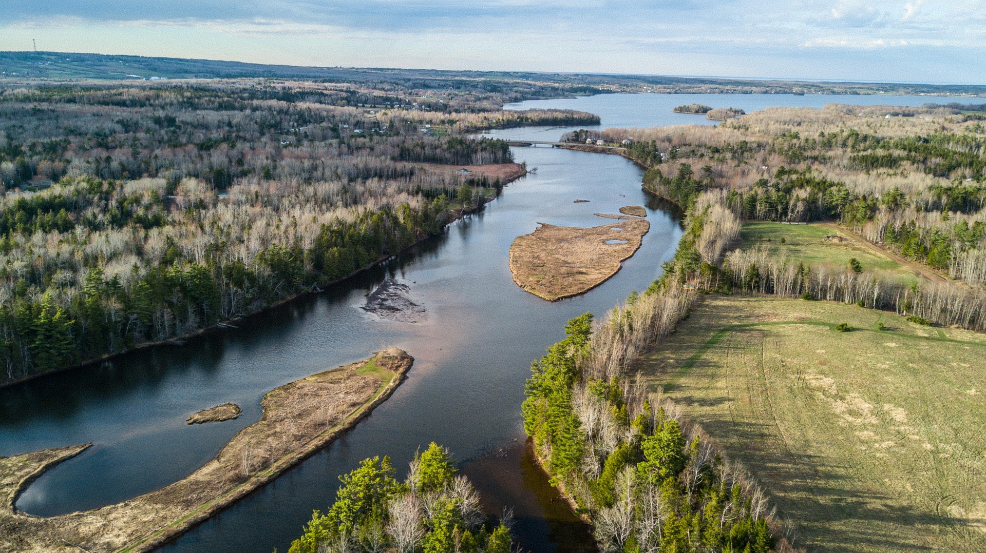 Norrtälje skog Image
